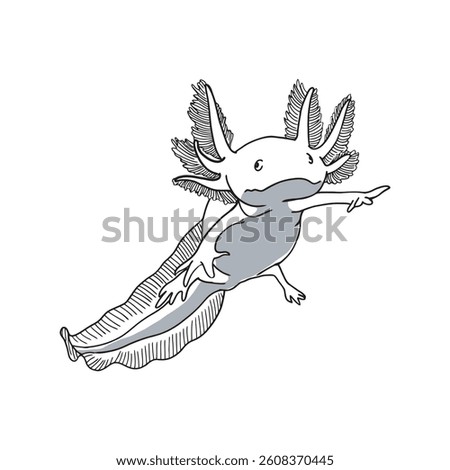 Salamander amphibian sketch vector isolated on white backgroud