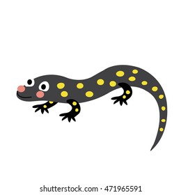 Spotted Salamander Cartoon Stock Images, Royalty-Free Images & Vectors ...