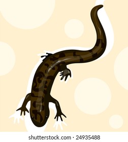 salamander in colour   	