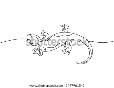 Salamander in continuous line art drawing style. Lizard hand drawn vector illustration. Minimalist black linear sketch isolated on white background.