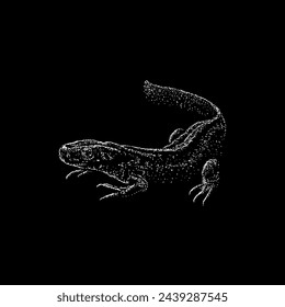 salamander hand drawing vector isolated on black background.