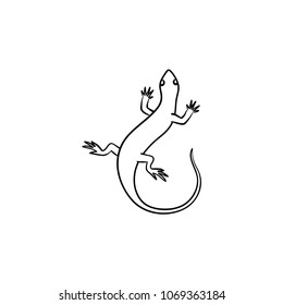 Salamander hand drawn outline doodle icon. Vector sketch illustration of salamander for print, web, mobile and infographics isolated on white background.