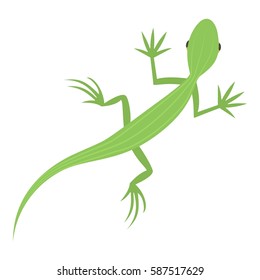 Salamander icon. Cartoon illustration of salamander vector icon for web