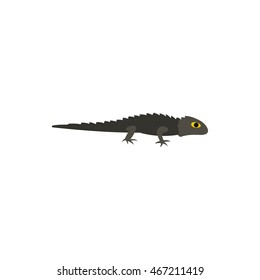 Salamander icon in flat style on a white background