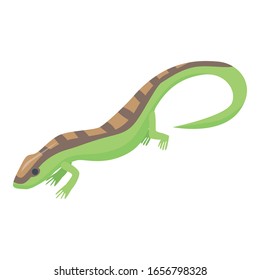 242 Purple salamander Images, Stock Photos & Vectors | Shutterstock