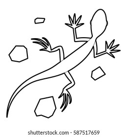 Salamander icon. Outline illustration of salamander vector icon for web