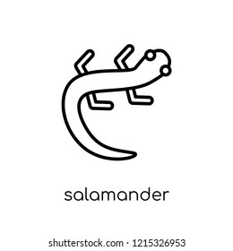 salamander icon. Trendy modern flat linear vector salamander icon on white background from thin line animals collection, editable outline stroke vector illustration