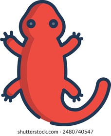 Salamander linear color illustration icon