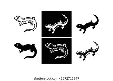 Salamander silhouette and line art vector