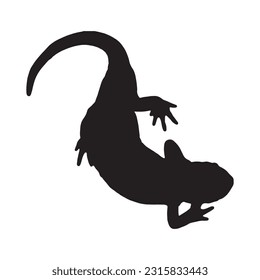 salamander silhouette set collection isolated black on white background vector illustration