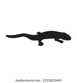 Salamander-Silhouette-Sammlung einzeln auf schwarz-weißem Hintergrund, Vektorgrafik