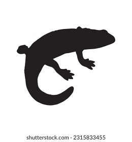 salamander silhouette set collection isolated black on white background vector illustration