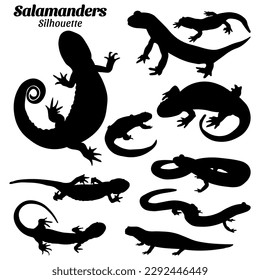 Salamander silhouette vector illustration set.