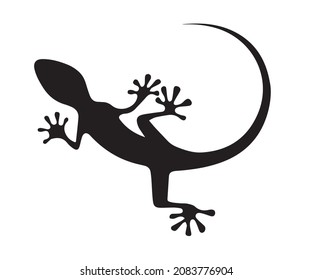 Salamander simple icon. Lizard icon isolated on white background. Reptile, salamander, gecko black silhouette for logo, sign or pictogram template. Lizard stencil. Monochrome chameleon symbol.