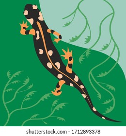 Salamander sits on a leaf. Green background. Plants on the background.