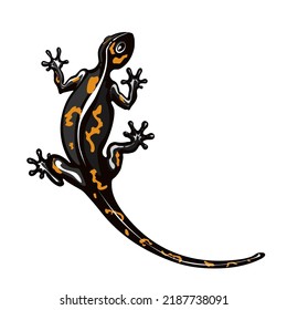 El salamander es un lagarto estilizado. Silueta reptil. Ilustración vectorial de lagartos escaldados. Logo de Lizard. Diseño de tótem. Tatuajes.