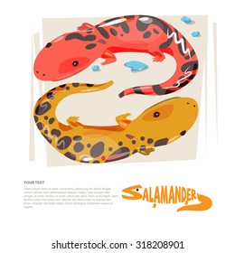 Salamander with typograohic design - vector illustration