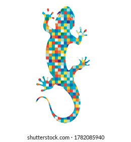 salamander vector illustration. barcelona symbol. spanish symbols