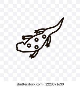 salamander vector linear icon isolated on transparent background, salamander transparency concept can be used for web and mobile