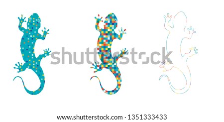 salamander vector spain salamander barcelona element