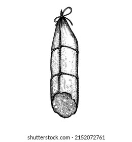 Salami dry sausage in vintage style. Hand drawn sketch style butchery product. Best for package and market advertising design. Vector illustrations isolated on white background.