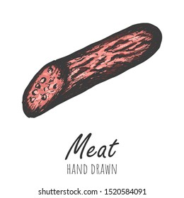 Salami hand drawn vector illustration, vintage colored design element.