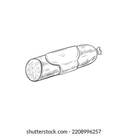 Salami isolated meat sausage sketch. Vector butchery food, beef pepperoni or bavarian frankfurter