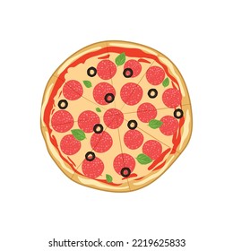 Salami pizza isolated on the white background. Vector illustration