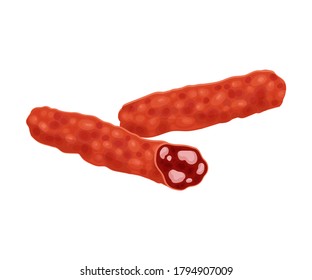 Salami or Sausage as Meat Product Vector Illustration