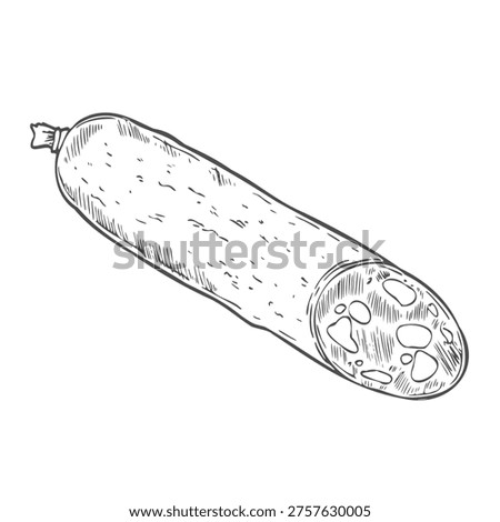 Salami sausage outline icon vector illustration. Line hand drawn slices and delicatessen pork roll, Italian chorizo or smoked German traditional sausage, food ingredient and butchers shop product