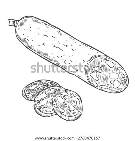 Salami sausage outline icon vector illustration. Line hand drawn slices and delicatessen pork roll, Italian chorizo or smoked German traditional sausage, food ingredient and butchers shop product