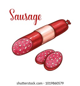 Salami sausage with slice isolated sketch of fresh meat product. Salami sausage or smoked frankfurter with fat pieces in red packaging for butcher shop label and food packaging design