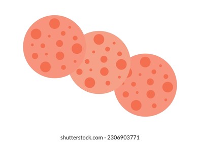 Salami Sausage Slices Vector Illustration