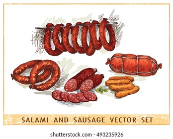 Salami and sausages vector set on white background