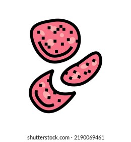 salami slice food cut color icon vector. salami slice food cut sign. isolated symbol illustration