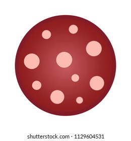 Salami smoked sausage slice. Top view macro detail salami sausage slice texture. Vector illustration isolated on white background.