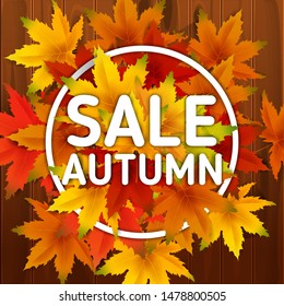 Sale Autumn Background Template, with falling bunch of leaves on wooden boards, shopping sale or seasonal poster for shopping discount promotion, Postcard and Invitation card. Vector illustration