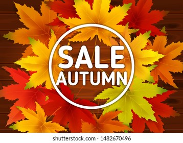 Sale Autumn Background Template, with falling bunch of leaves on wooden boards, shopping sale or seasonal poster for shopping discount promotion, Postcard and Invitation card. Vector illustration