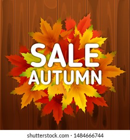 Sale Autumn Background Template, with falling bunch of leaves on wooden boards, shopping sale or seasonal poster for shopping discount promotion, Postcard and Invitation card. Vector illustration