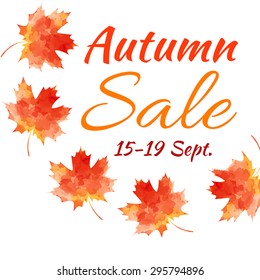 Sale. Autumn maple leaves on a white background.