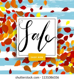 Sale autumn poster with red and yellow falling leaves on background. Advertisement banner with hand drawn elements. Colorful template.