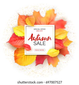 Sale banner with bright autumn leaves. Vector 