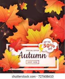 Sale banner with bright autumn leaves on dark background. Vector illustration. Falling colorful maple leaves. Special offer up to 50% off. Template for poster, promo flyer, card, leaflet design
