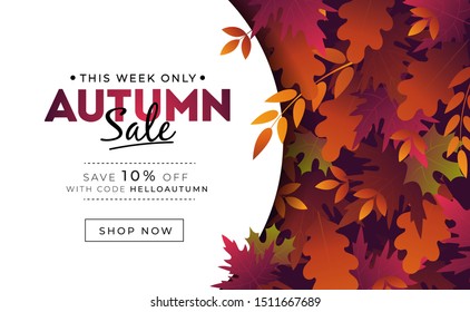 Sale banner with foliage for autumn promotions vector illustration. Profitable proposition save 10 percent this week only. Landing page with fall leaves and shop now button. Advertising concept