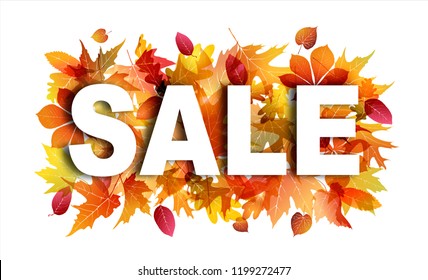 Sale banner on white background with bright autumn foliage. Leaves of maple, oak, sycamore and chestnut. Vector illustration