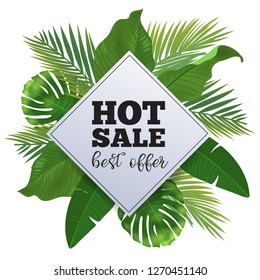 Sale banner, poster with palm leaves, jungle leaf and handwriting lettering. Floral tropical summer background.