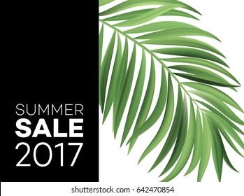 Sale banner, poster with palm leaves, jungle leaf and handwriting lettering. Floral tropical summer background. Vector illustration EPS10