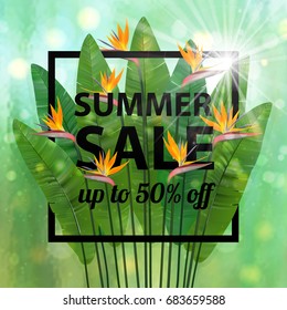 Sale banner, poster with palm leaves, jungle leaf and exotic flowers. Beautiful vector floral tropical summer background