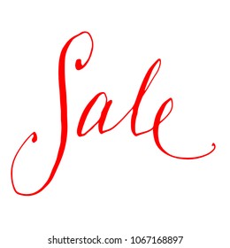 Sale Calligraphy lettering text phrase hand writing ink drawn vector element