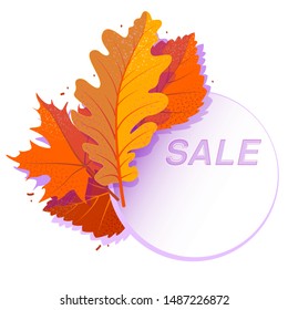 Sale circle banner with bright autumn leaves. Vector discount offer with falled red maple, orange oak, yellow rowan foliage on white background. Poster, card, label, web banner. Isolated concept.